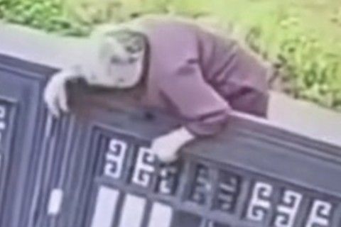 Idosa com Alzheimer escala portão de asilo e caso viraliza